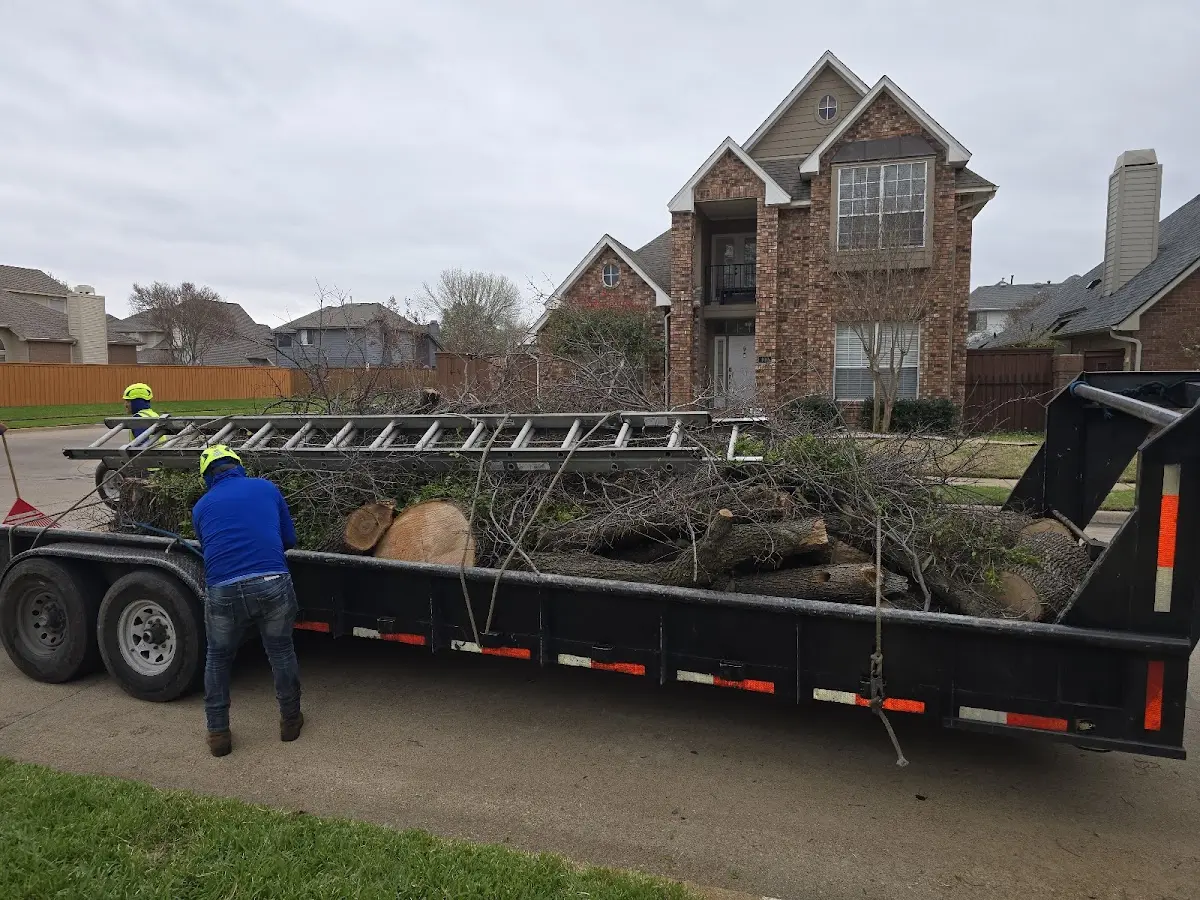 Expert Lot Clearing with proper safety equipment in Moore